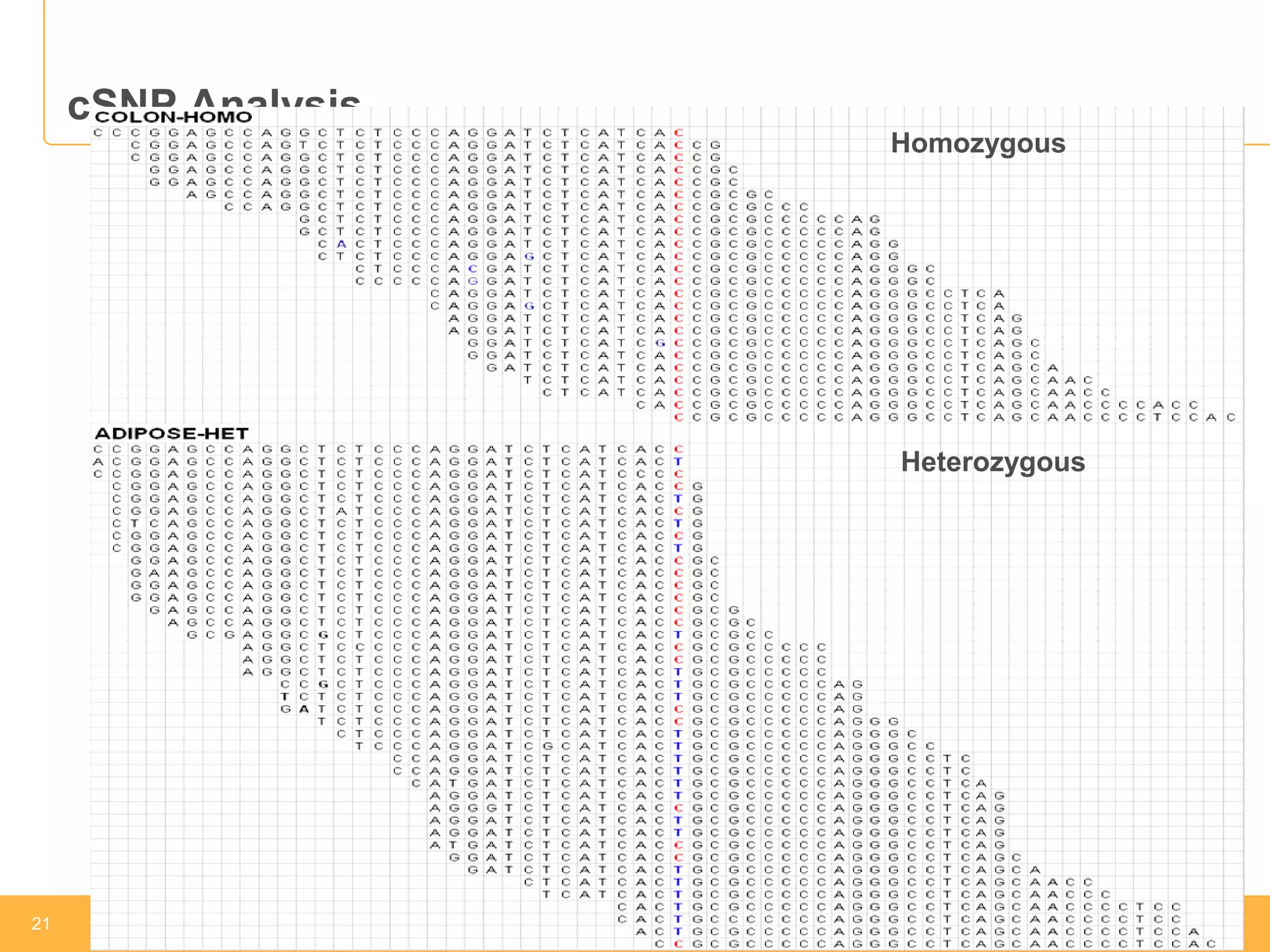 21 
21 
Revolution –RNA-Seq–PCR-free –Ribo-Seq–CLIP-Seq–Normalization -FFPE 
cSNP Analysis 
Homozygous 
Heterozygous  