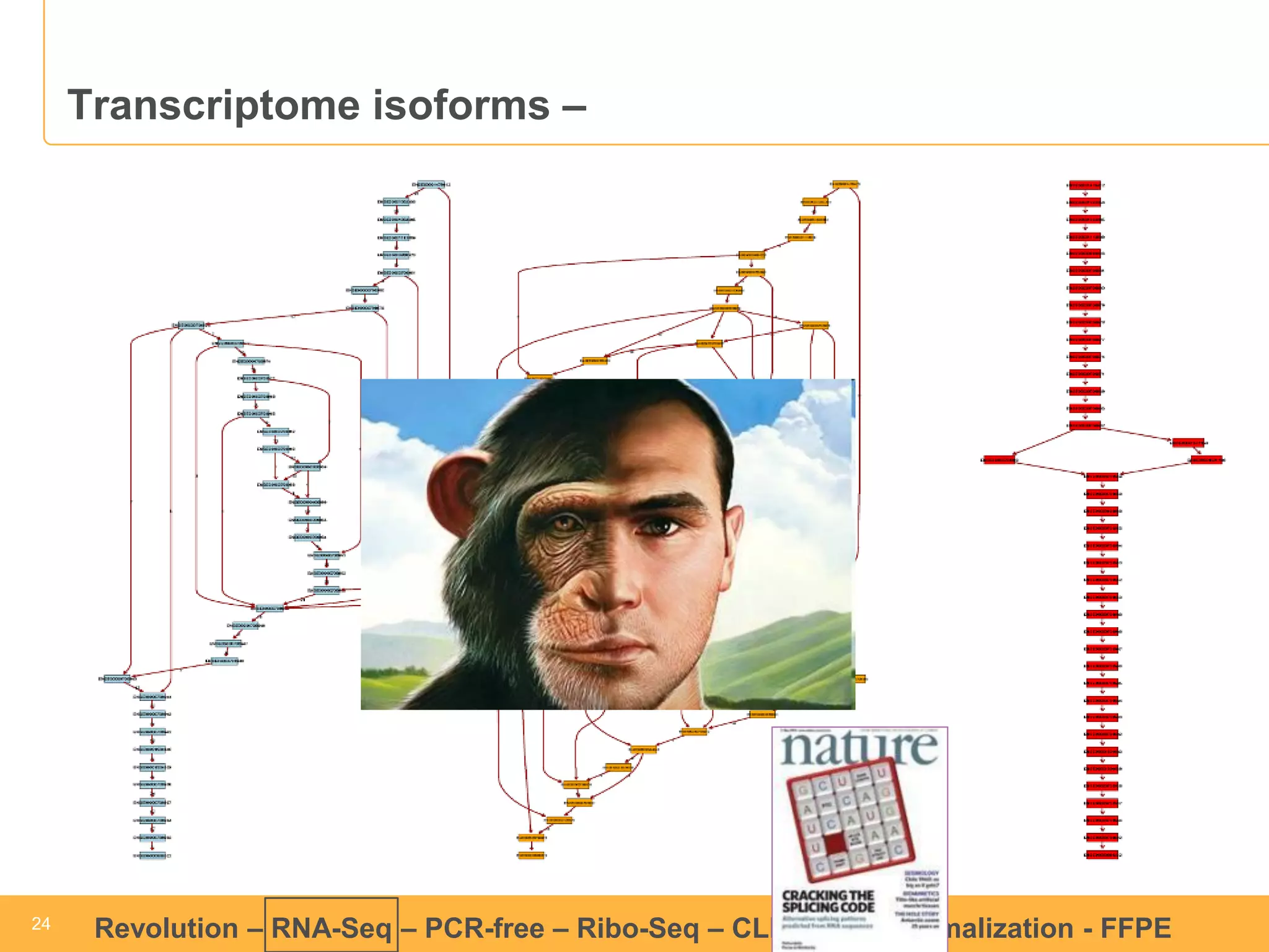 24 
24 
Revolution –RNA-Seq–PCR-free –Ribo-Seq–CLIP-Seq–Normalization -FFPE 
Transcriptome isoforms –  