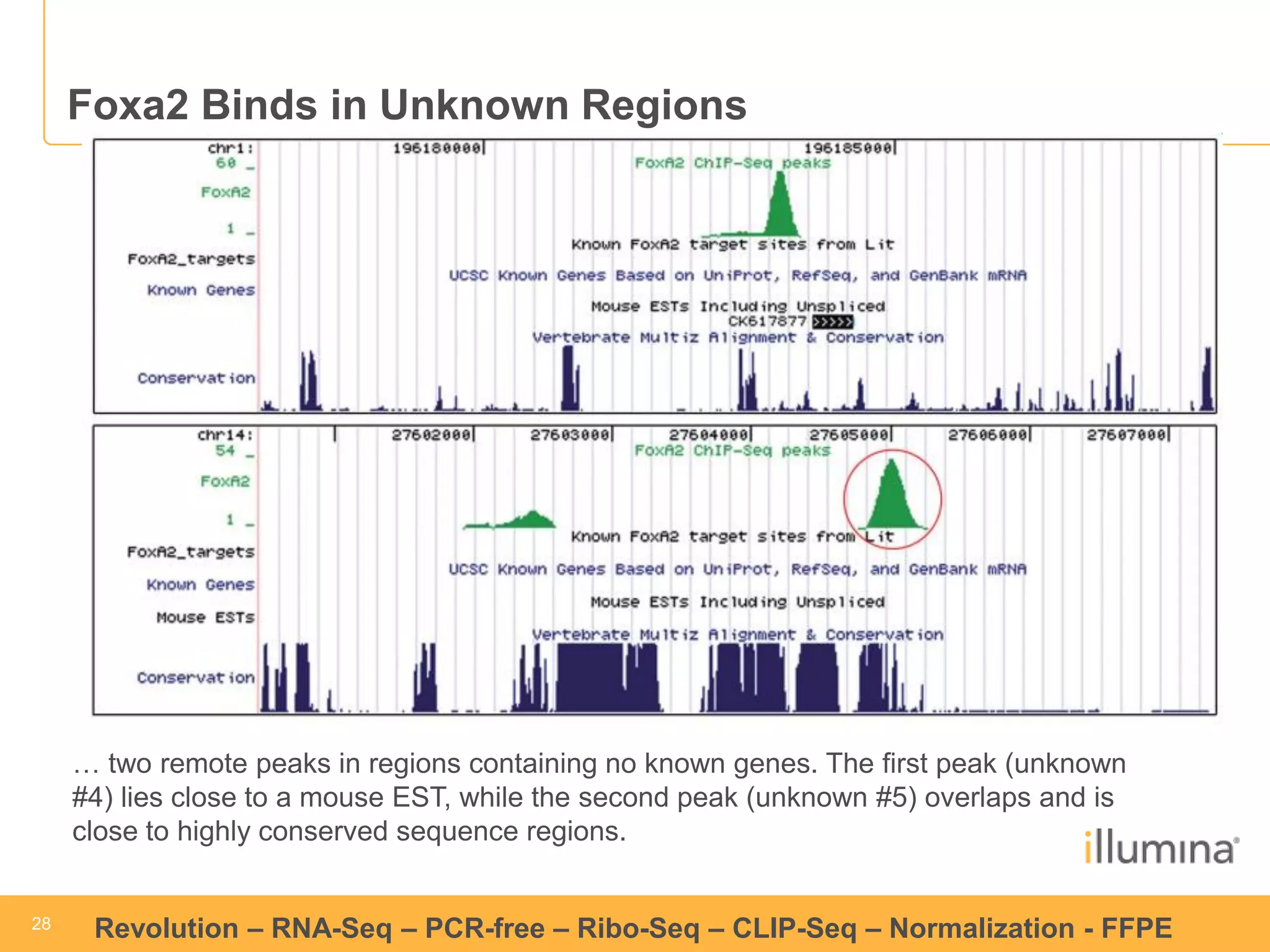 28 
28 
Revolution –RNA-Seq–PCR-free –Ribo-Seq–CLIP-Seq–Normalization -FFPE 
Foxa2 Binds in Unknown Regions 
… two remote peaks in regions containing no known genes. The first peak (unknown #4) lies close to a mouse EST, while the second peak (unknown #5) overlaps and is close to highly conserved sequence regions.  