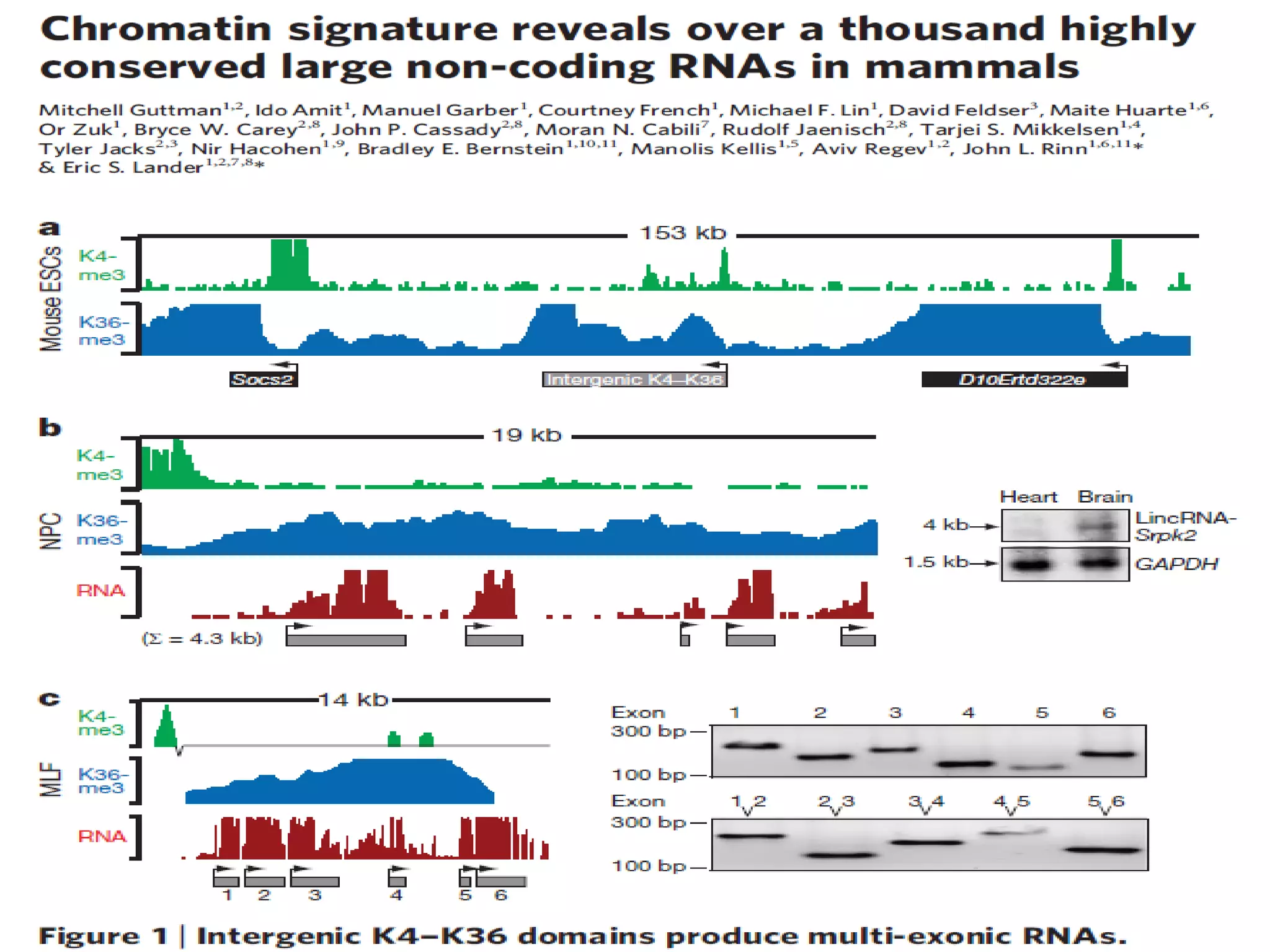 29 
29 
Revolution –RNA-Seq–PCR-free –Ribo-Seq–CLIP-Seq–Normalization -FFPE  