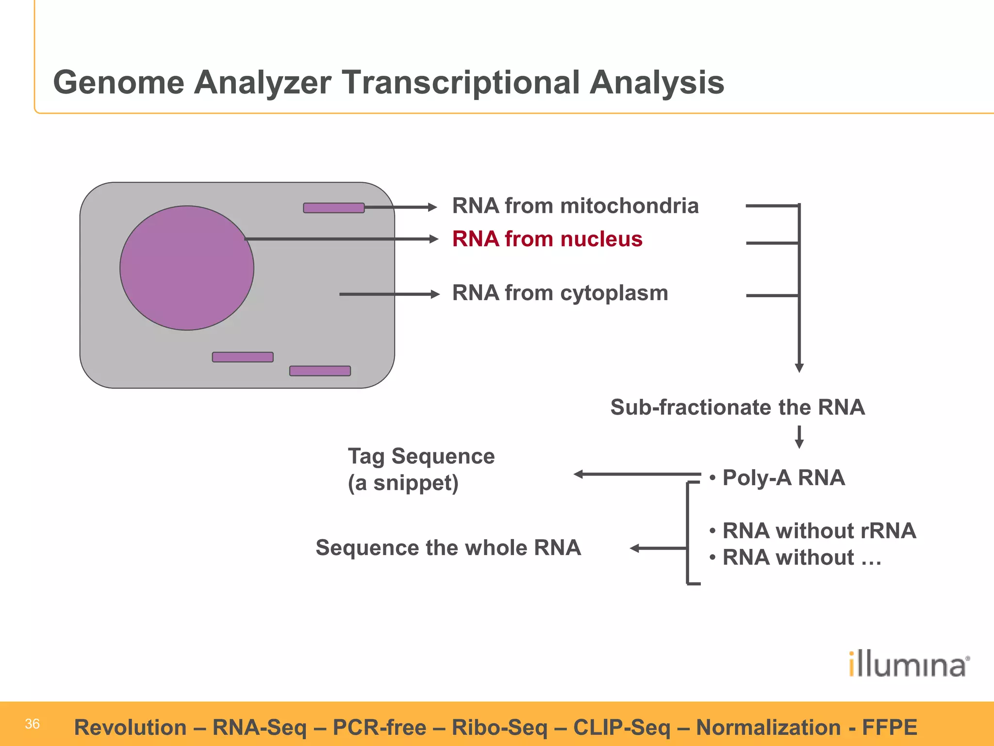36 
36 
Revolution –RNA-Seq–PCR-free –Ribo-Seq–CLIP-Seq–Normalization -FFPE 
Genome Analyzer Transcriptional Analysis 
RNA from mitochondria 
RNA from nucleus 
RNA from cytoplasm 
Sub-fractionate the RNA 
•Poly-A RNA 
•RNA without rRNA 
•RNA without … 
Sequence the whole RNA 
Tag Sequence 
(a snippet)  