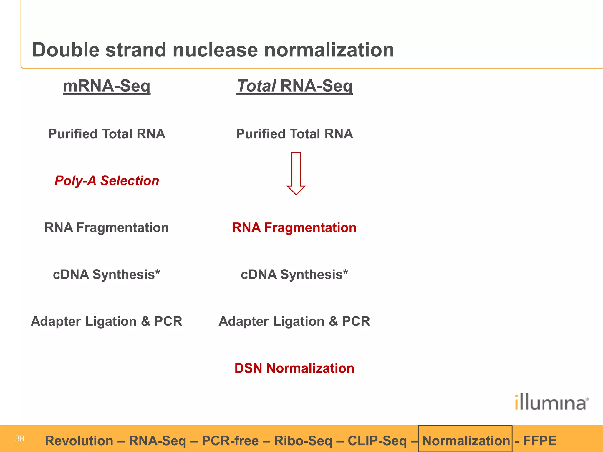 38 
38 
Revolution –RNA-Seq–PCR-free –Ribo-Seq–CLIP-Seq–Normalization -FFPE 
Double strand nuclease normalization 
mRNA-Seq 
Purified Total RNA 
Poly-A Selection 
RNA Fragmentation 
cDNA Synthesis* 
Adapter Ligation & PCR 
Total RNA-Seq 
Purified Total RNA 
RNA Fragmentation 
cDNA Synthesis* 
Adapter Ligation & PCR 
DSN Normalization  