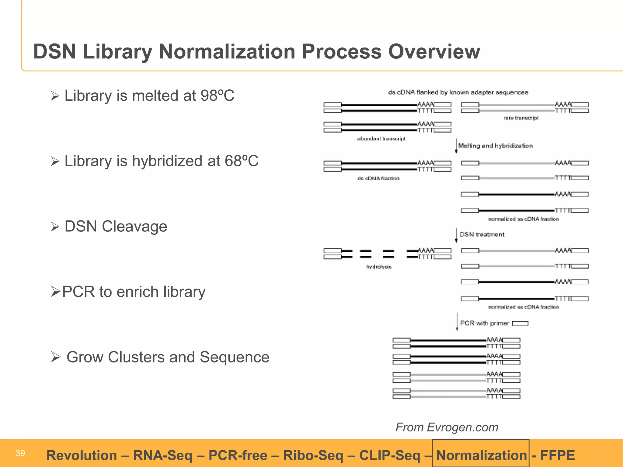 39 
39 
Revolution –RNA-Seq–PCR-free –Ribo-Seq–CLIP-Seq–Normalization -FFPE 
DSN Library Normalization Process Overview 
From Evrogen.com 
Library is melted at 98ºC 
Library is hybridized at 68ºC 
DSN Cleavage 
PCR to enrich library 
Grow Clusters and Sequence  