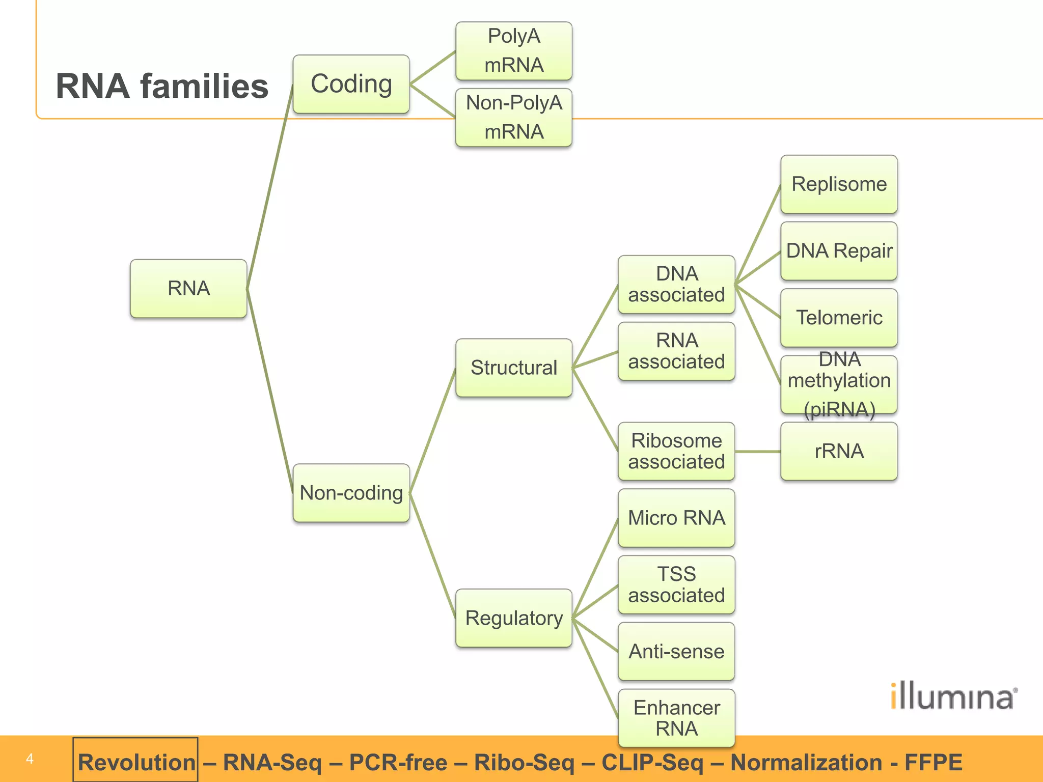 4 
4 
Revolution –RNA-Seq–PCR-free –Ribo-Seq–CLIP-Seq–Normalization -FFPE 
RNA families 
RNA 
Coding 
PolyA 
mRNA 
Non-PolyA 
mRNA 
Non-coding 
StructuralDNA associated 
Replisome 
DNA Repair 
Telomeric 
DNA methylation 
(piRNA) 
RNA associated 
Ribosome associated 
rRNA 
Regulatory 
Micro RNA 
TSS associated 
Anti-sense 
Enhancer RNA  