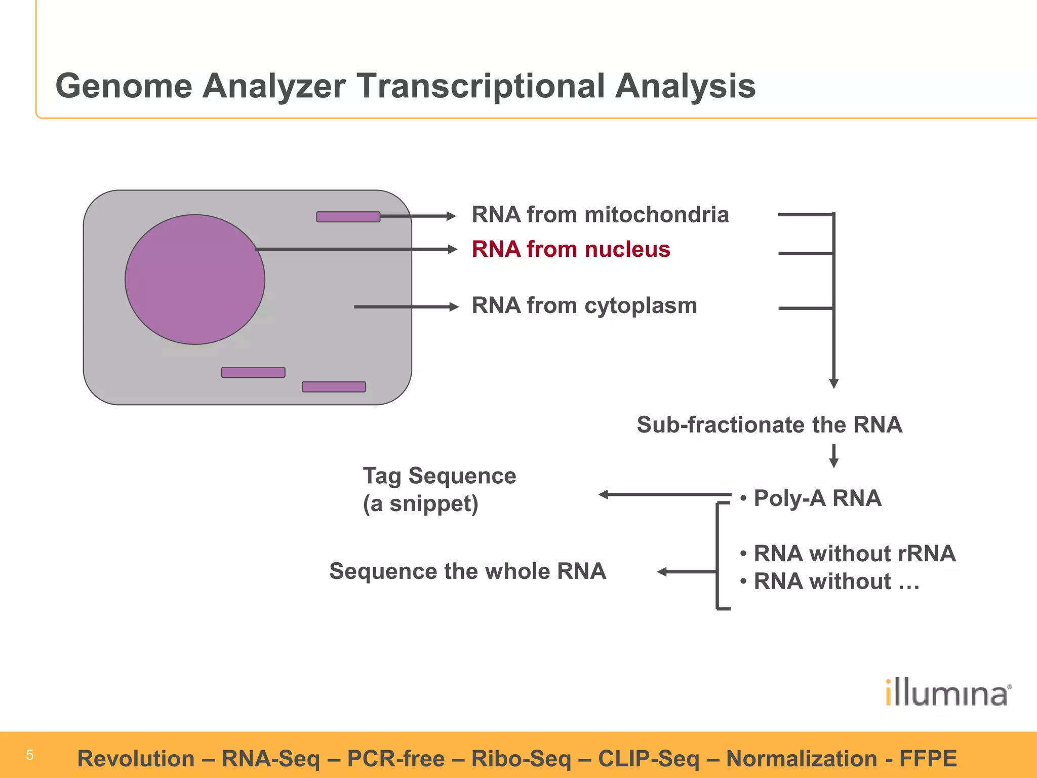 5 
5 
Revolution –RNA-Seq–PCR-free –Ribo-Seq–CLIP-Seq–Normalization -FFPE 
Genome Analyzer Transcriptional Analysis 
RNA from mitochondria 
RNA from nucleus 
RNA from cytoplasm 
Sub-fractionate the RNA 
•Poly-A RNA 
•RNA without rRNA 
•RNA without … 
Sequence the whole RNA 
Tag Sequence 
(a snippet)  