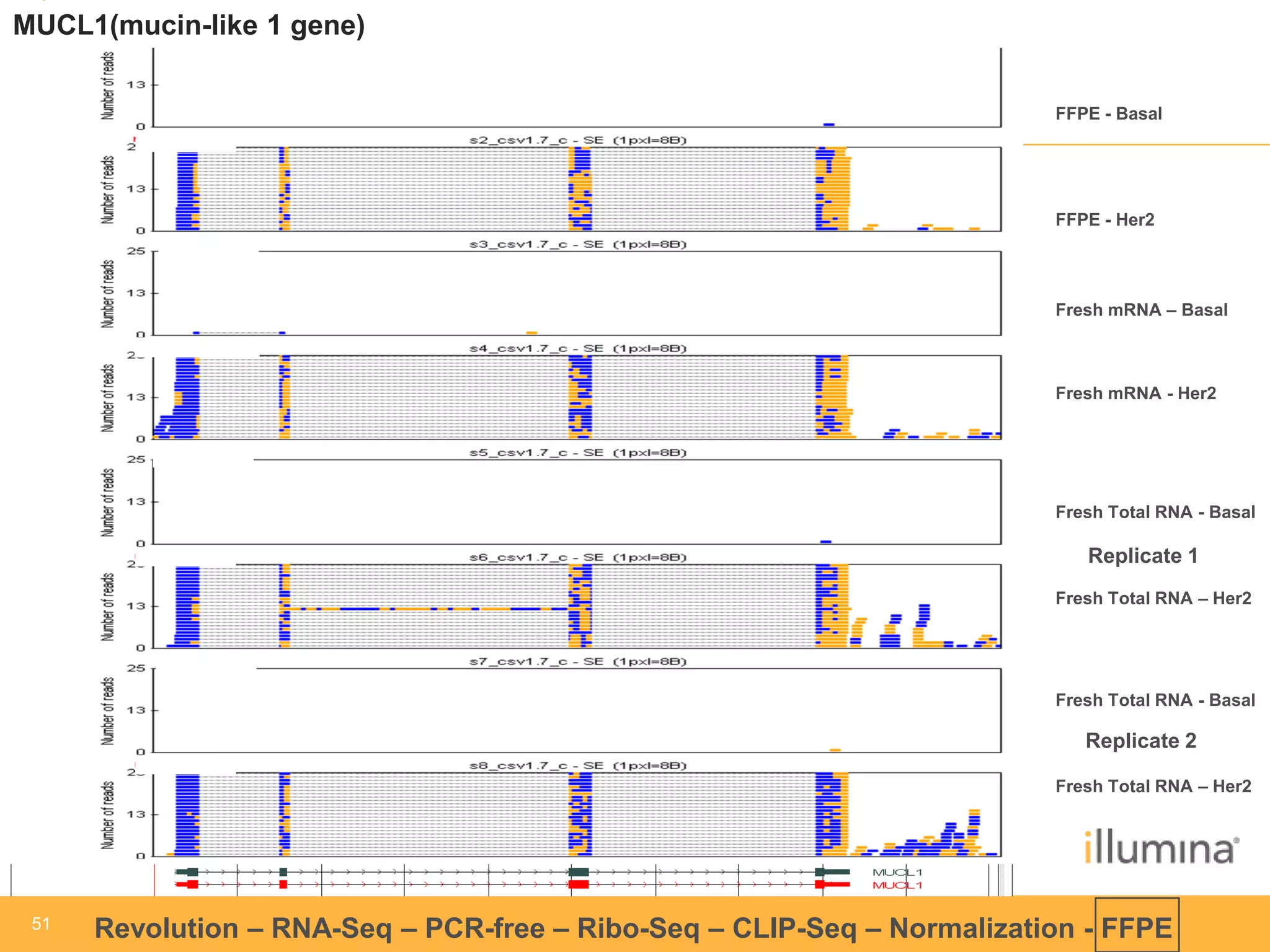 51 
51 
Revolution –RNA-Seq–PCR-free –Ribo-Seq–CLIP-Seq–Normalization -FFPE 
MUCL1(mucin-like 1 gene) 
FFPE -Basal 
FFPE -Her2 
Fresh mRNA –Basal 
Fresh mRNA -Her2 
Fresh Total RNA -Basal 
Fresh Total RNA –Her2 
Fresh Total RNA -Basal 
Fresh Total RNA –Her2 
Replicate 1 
Replicate 2  