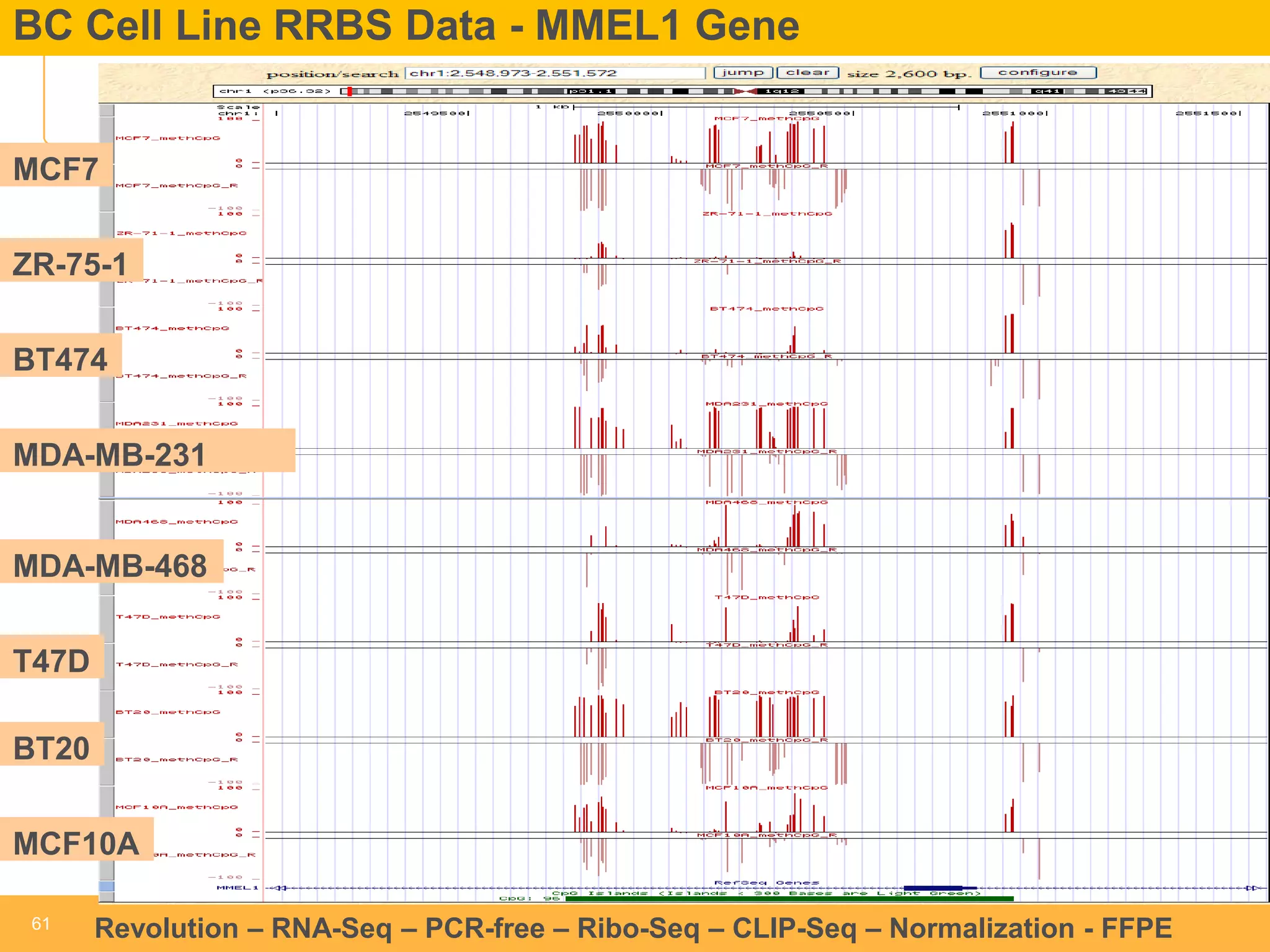 61 
61 
Revolution –RNA-Seq–PCR-free –Ribo-Seq–CLIP-Seq–Normalization -FFPE 
BC Cell Line RRBS Data -MMEL1 Gene 
MCF7 
ZR-75-1 
T47DBT474 
MDA-MB-231 
MDA-MB-468 
BT20 
MCF10A  