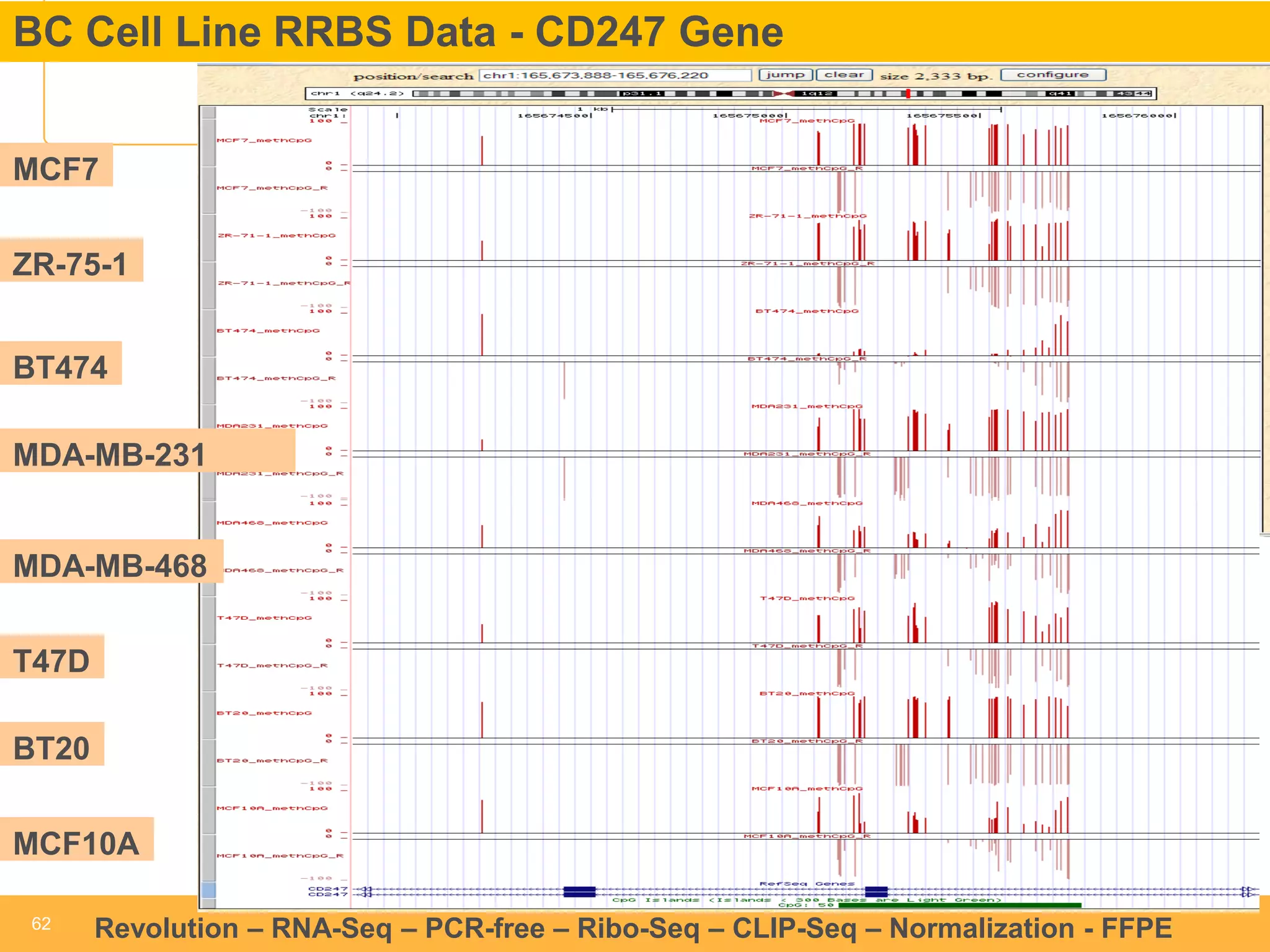 62 
62 
Revolution –RNA-Seq–PCR-free –Ribo-Seq–CLIP-Seq–Normalization -FFPE 
BC Cell Line RRBS Data -CD247 Gene 
MCF7 
ZR-75-1T47D 
BT474 
MDA-MB-231 
MDA-MB-468 
BT20 
MCF10A  