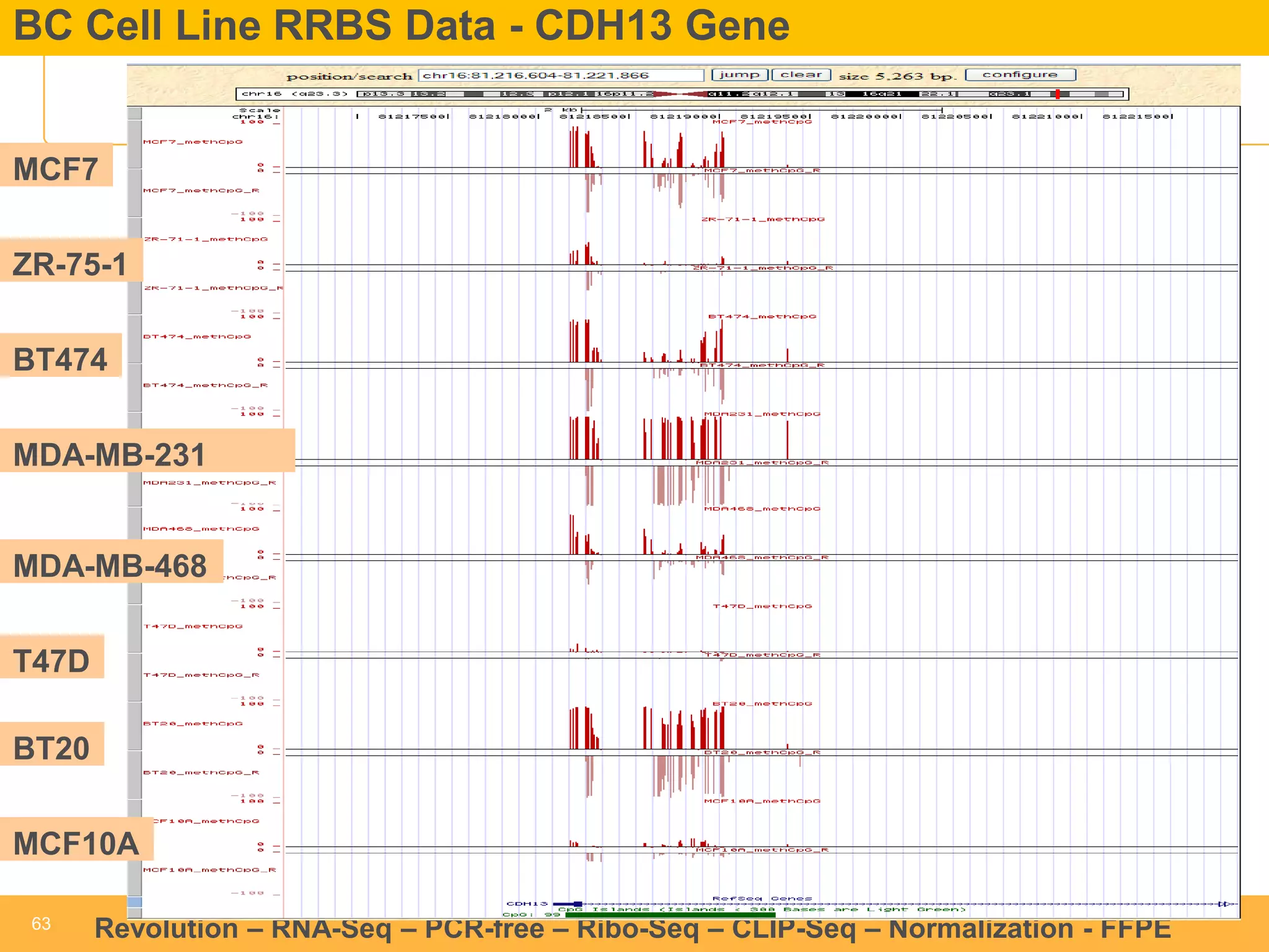 63 
63 
Revolution –RNA-Seq–PCR-free –Ribo-Seq–CLIP-Seq–Normalization -FFPE 
BC Cell Line RRBS Data -CDH13 Gene 
MCF7ZR-75-1 
T47D 
BT474 
MDA-MB-231 
MDA-MB-468 
BT20 
MCF10A  