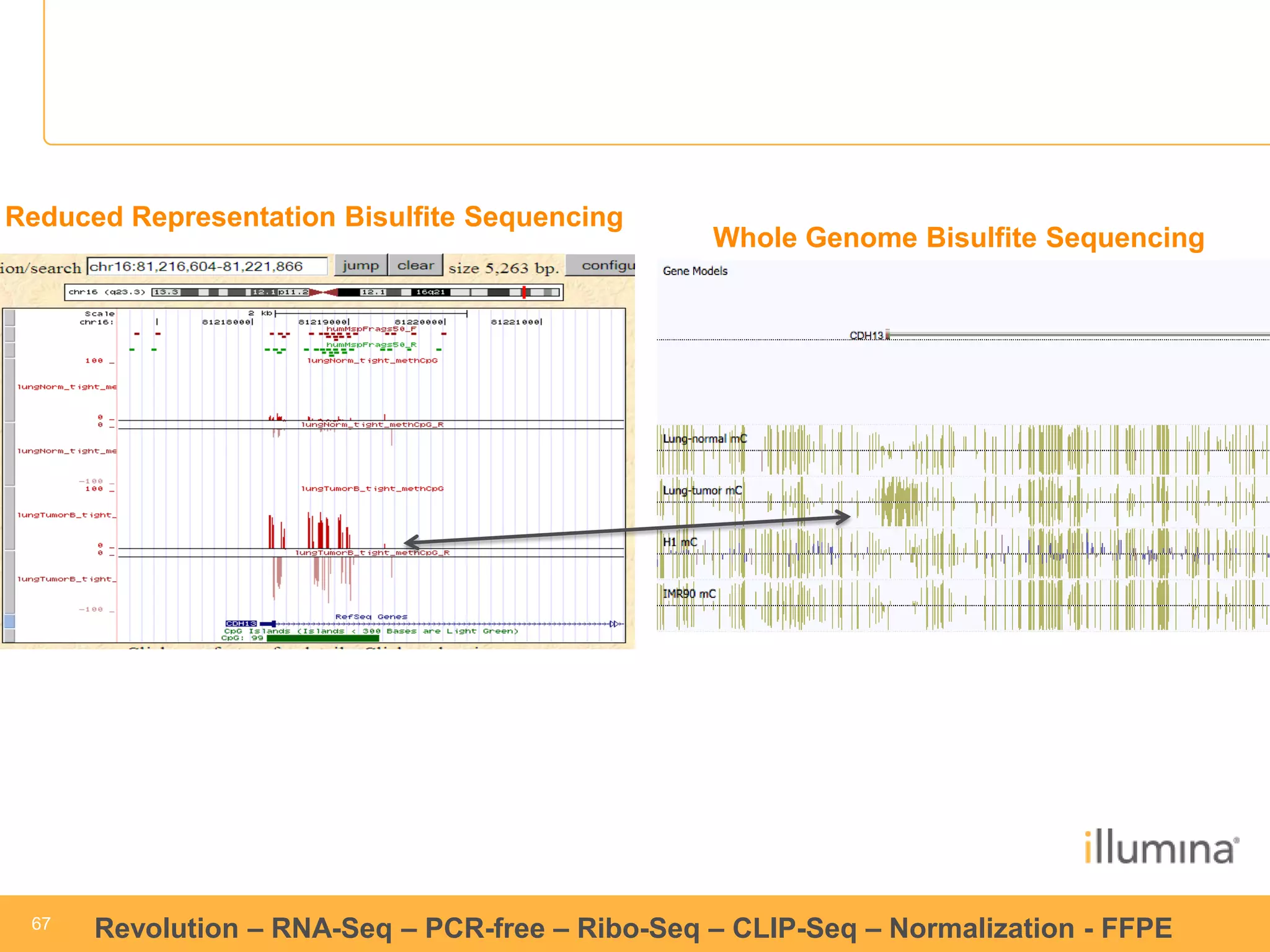 67 
67 
Revolution –RNA-Seq–PCR-free –Ribo-Seq–CLIP-Seq–Normalization -FFPE 
Whole Genome Bisulfite Sequencing 
Reduced Representation Bisulfite Sequencing  