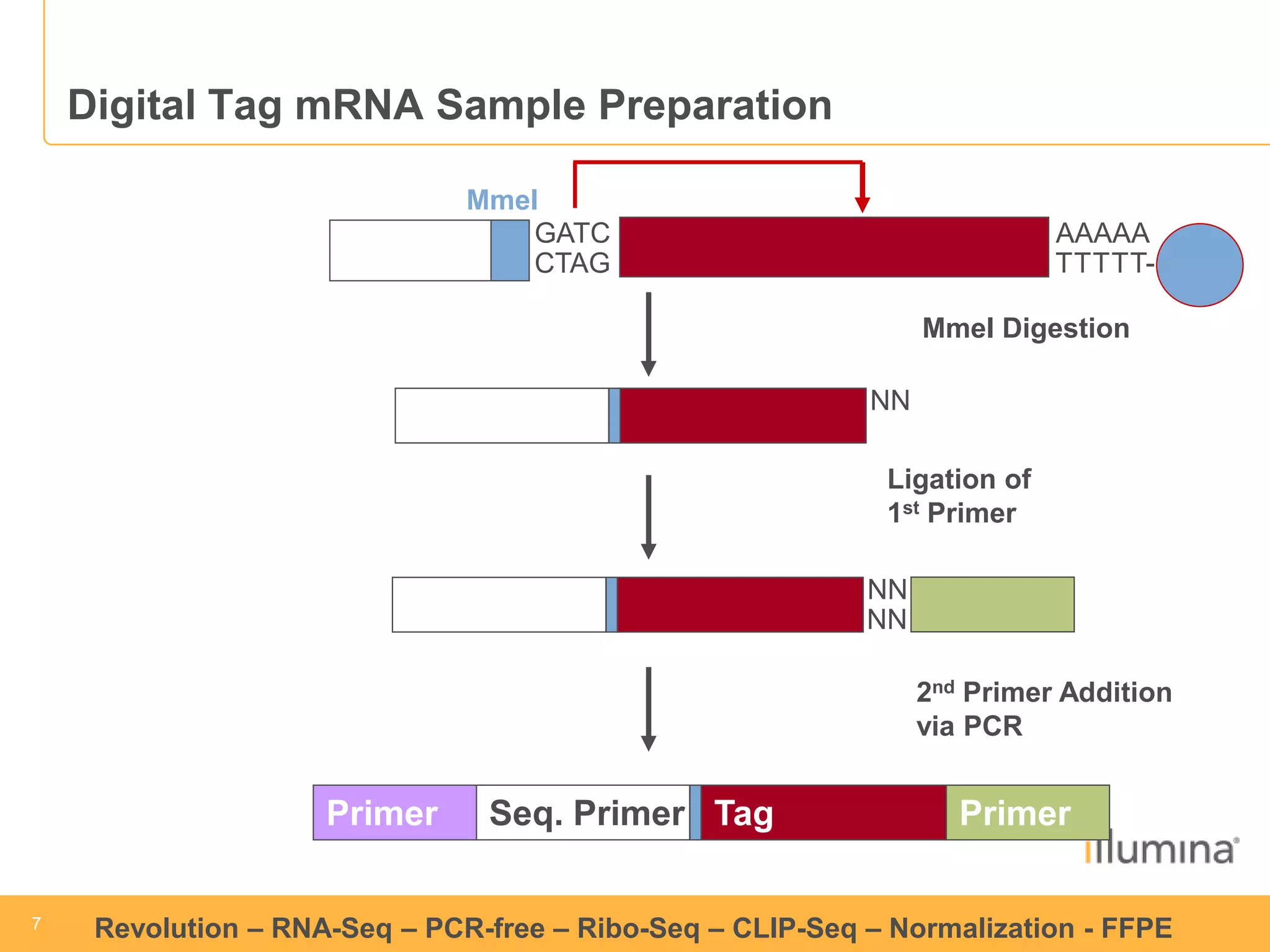 7 
7 
Revolution –RNA-Seq–PCR-free –Ribo-Seq–CLIP-Seq–Normalization -FFPE 
2ndPrimer Addition 
via PCR 
Seq. Primer 
Primer 
Tag 
Primer 
Digital Tag mRNA Sample Preparation 
GATC 
AAAAA 
TTTTT- 
CTAG 
MmeI 
NN 
MmeI Digestion 
Ligation of 
1stPrimer 
NN 
NN  