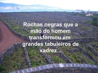 Rochas negras que a mão do homem transformou em  grandes tabuleiros de xadrez... 