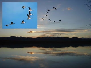 信息 Sunday Sermon 19/09/2010