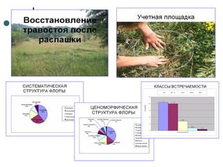 Отчет по практике 2010