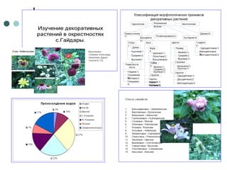 Отчет по практике 2010