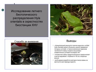 Отчет по практике 2010