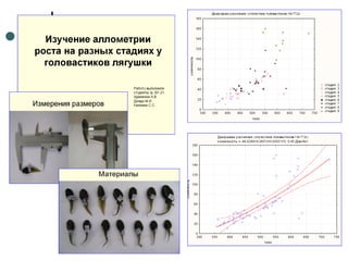 Отчет по практике 2010