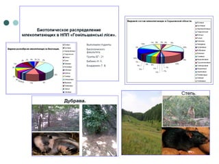 Отчет по практике 2010
