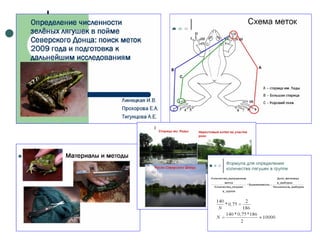 Отчет по практике 2010