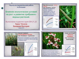Отчет по практике 2010