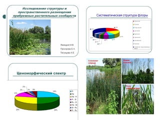 Отчет по практике 2010