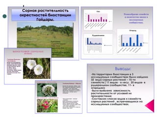 Отчет по практике 2010