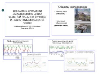 Отчет по практике 2010