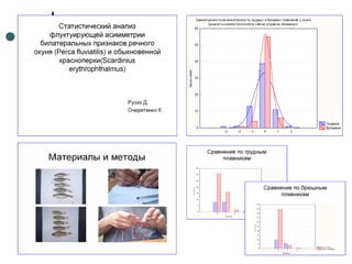 Отчет по практике 2010