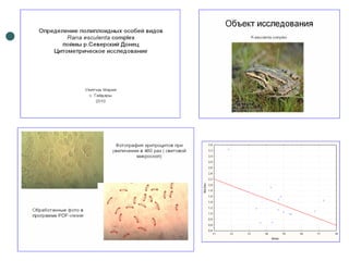 Отчет по практике 2010