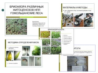 Отчет по практике 2010