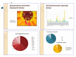 Отчет по практике 2010