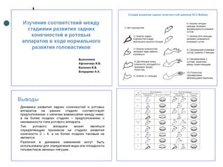 Отчет по практике 2010