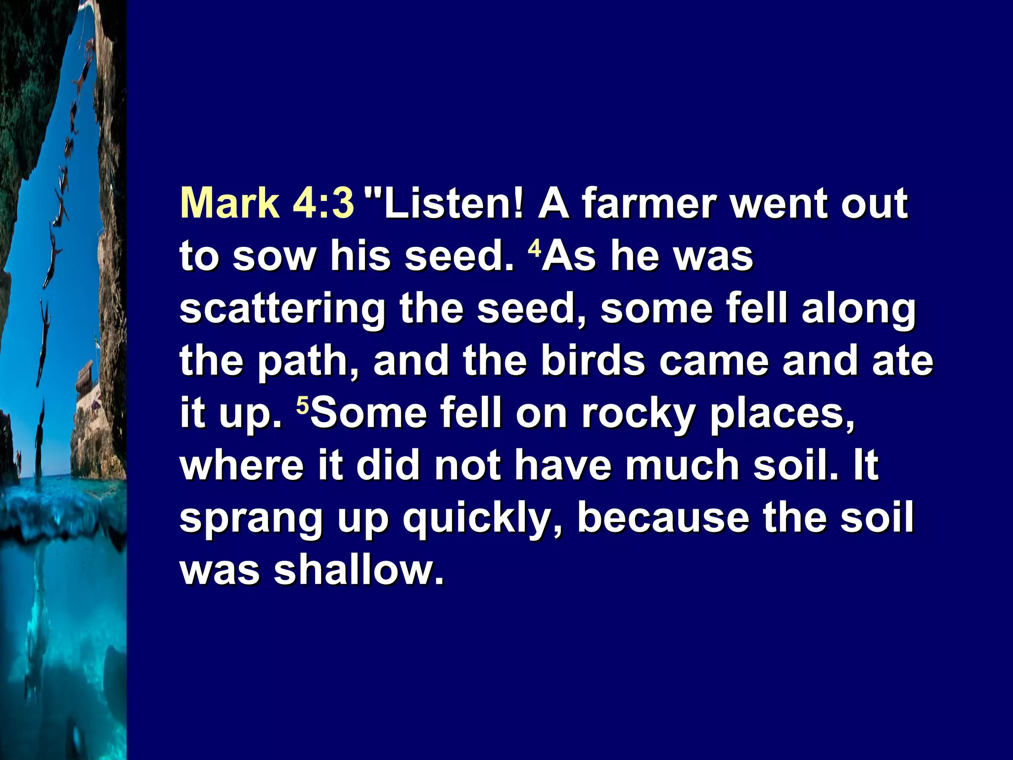 Mark 4:3   "Listen! A farmer went out to sow his seed.  4 As he was scattering the seed, some fell along the path, and the birds came and ate it up.  5 Some fell on rocky places, where it did not have much soil. It sprang up quickly, because the soil was shallow.  