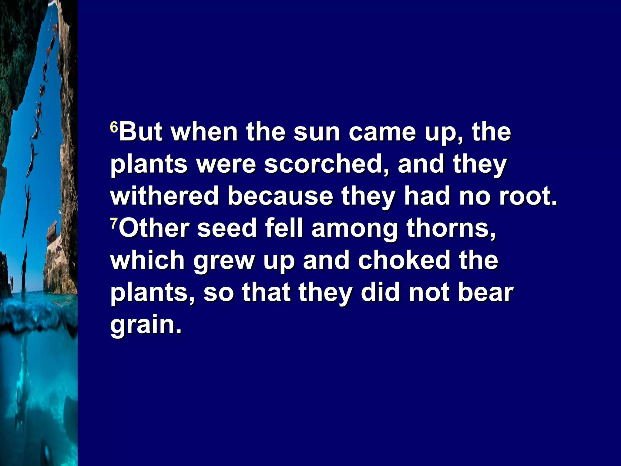6 But when the sun came up, the plants were scorched, and they withered because they had no root.  7 Other seed fell among thorns, which grew up and choked the plants, so that they did not bear grain. 