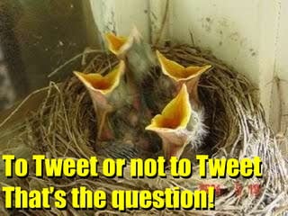 To Tweet or not to Tweet That’s the question! To Tweet or not to Tweet That’s the question! 