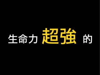 生命力 超強 的
 