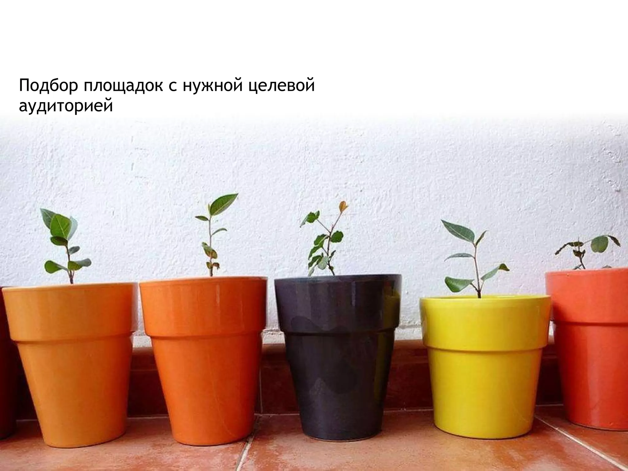 Таргетинг через посев Подбор площадок с нужной целевой аудиторией 