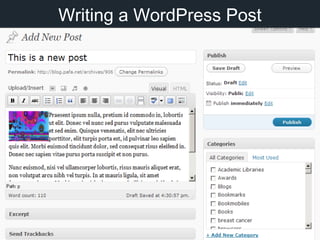 Writing a WordPress Post
 