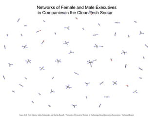 Networks of Female and Male Executives
in Companies in the Clean Tech Sector
Kaisa Still, Neil Rubens, Jukka Huhtamäki, and Martha Russell , “Networks of Executive Women in Technology-Based Innovation Ecosystems,” Technical Report
 