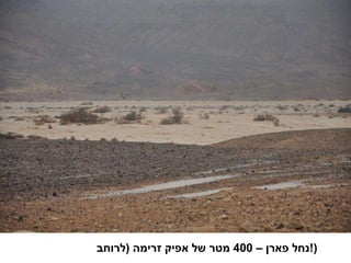 נחל פארן –  400  מטר של אפיק זרימה  ( לרוחב  !) 
