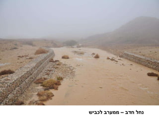 נחל חדב – ממערב לכביש 