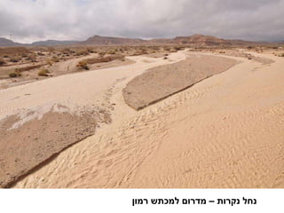 נחל נקרות – מדרום למכתש רמון 