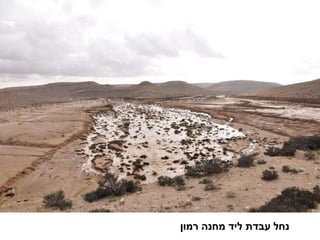 נחל עבדת ליד מחנה רמון 