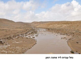 נחל עבדת ליד מחנה רמון 