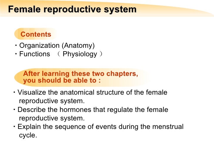 女性生殖系统 留学生 10