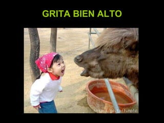 GRITA BIEN ALTO