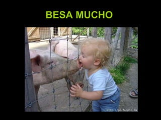 BESA MUCHO
