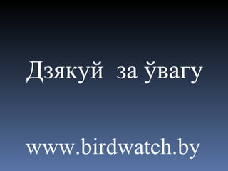 Дзякуй  за ўвагу www.birdwatch.by 
