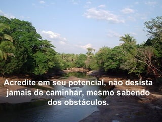 Acredite em seu potencial, não desista
jamais de caminhar, mesmo sabendo
dos obstáculos.
 