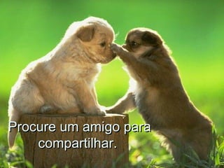 Procure um amigo paraProcure um amigo para
compartilhar.compartilhar.
 